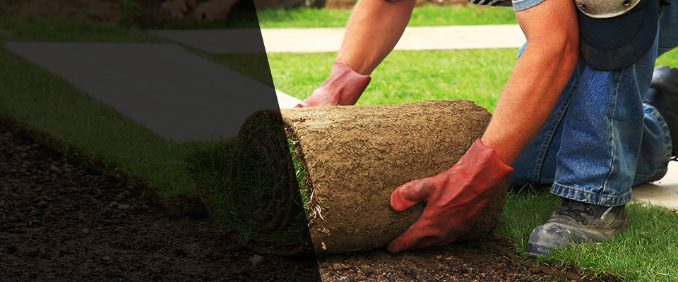 Fredonia Landscapers